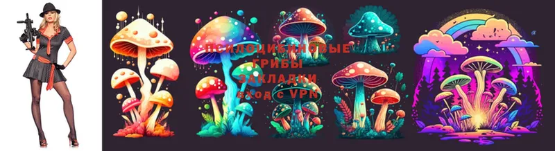 Галлюциногенные грибы Cubensis  Кудымкар 